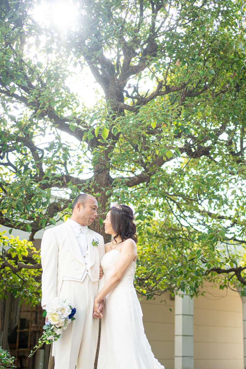 木漏れ日に包まれて