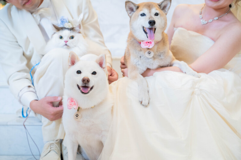 みんなで一緒に撮影