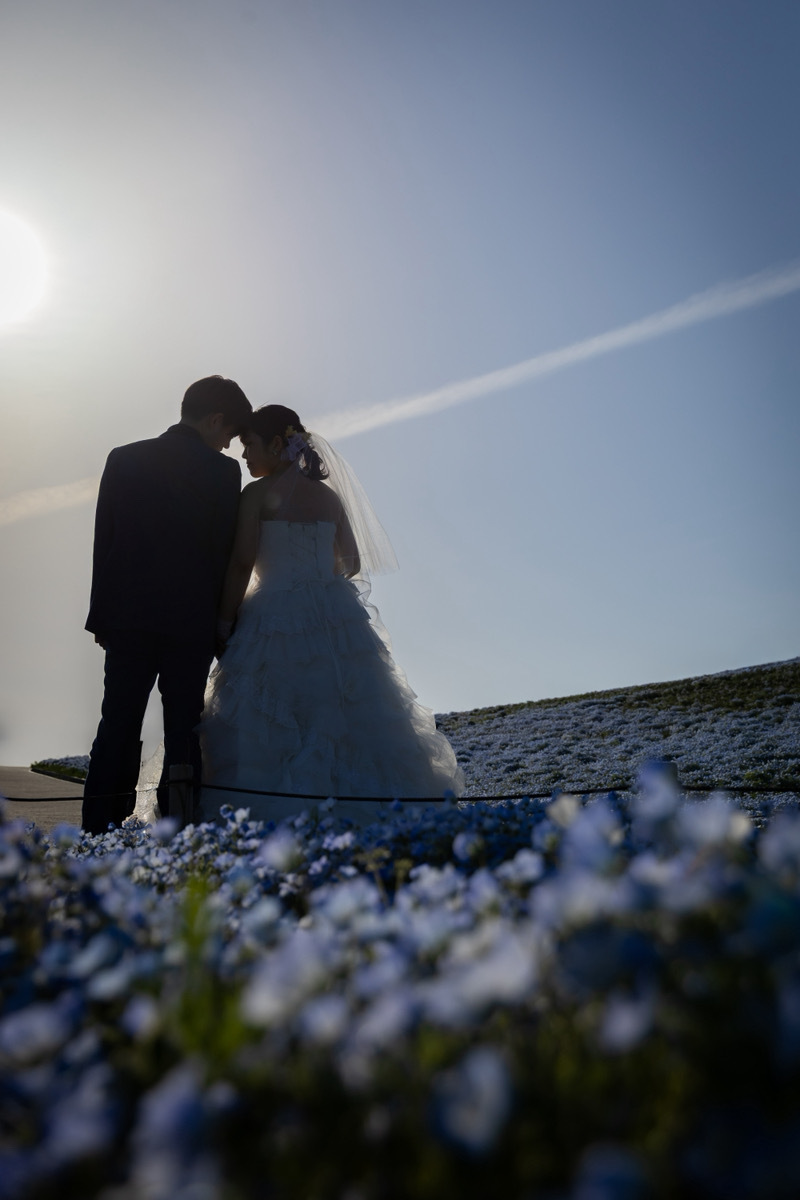 夕陽に染まるシルエットフォト