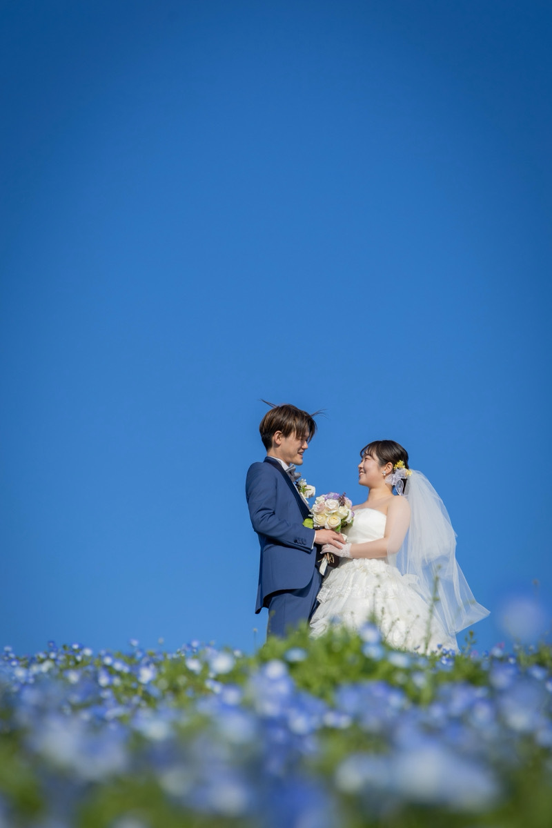 見つめ合う青の誓い