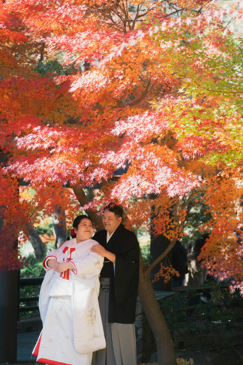 もみじの下で見つめ合う瞬間