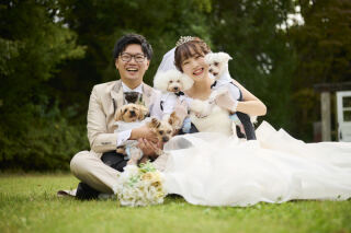 アンシャンテ/アルシェ 龍ケ崎店