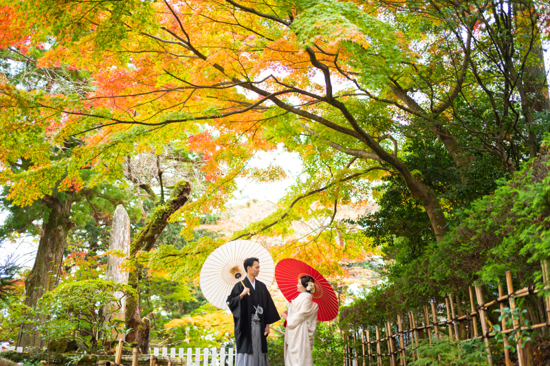 美しく壮大なロケーション