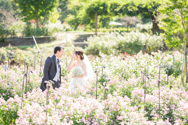 アンシャンテ/アルシェ 龍ケ崎店_動画を作れる