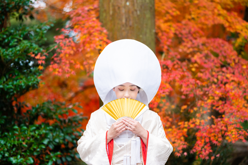 洋装も和装も想いのままに