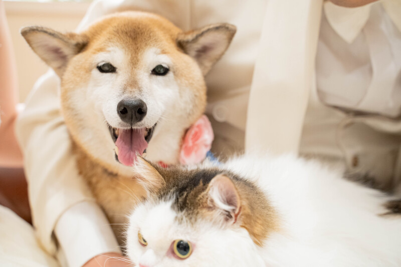 ★フォトレイト特別価格で撮影しませんか？★