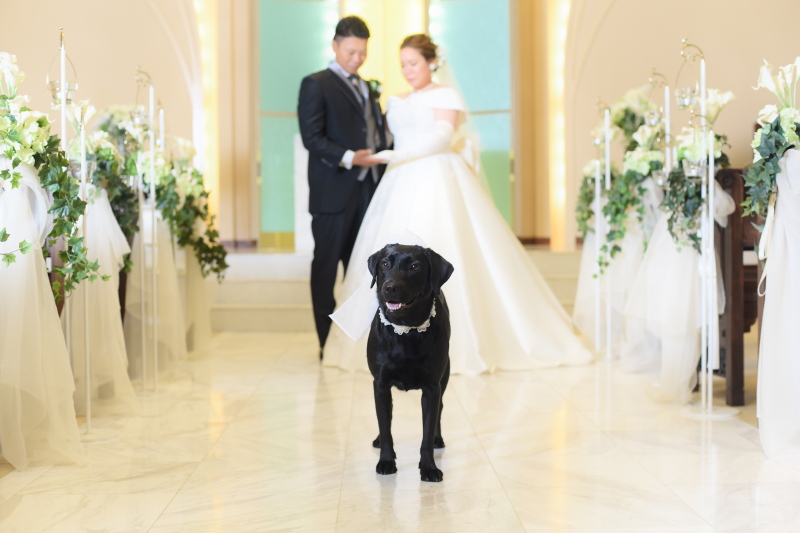 アンシャンテ/アルシェ 龍ケ崎店_ペットと一緒に撮影できる