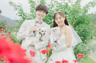 ペットフレンドリーなフォトスタジオ