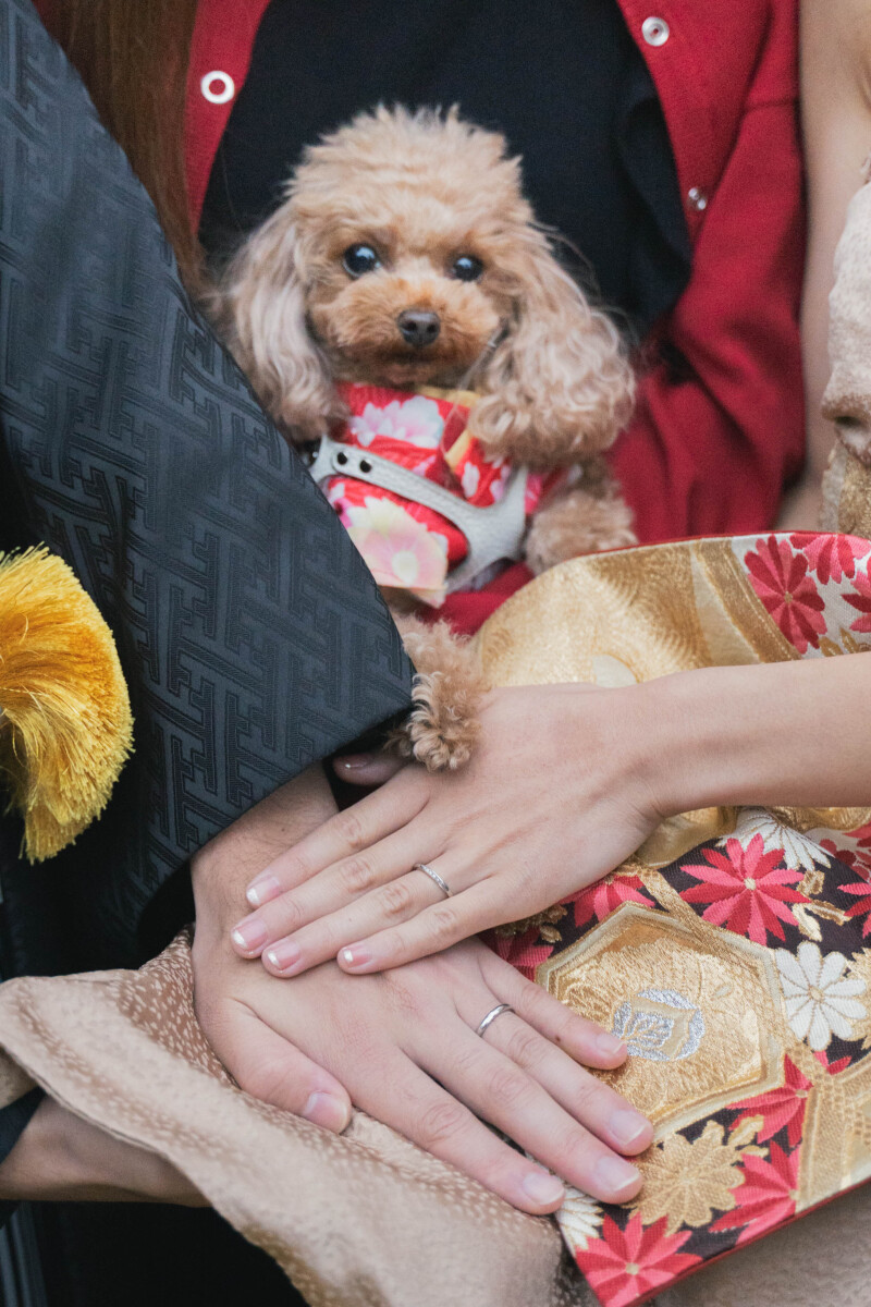 アンシャンテ/アルシェ 龍ケ崎店_結婚式場で撮影できる