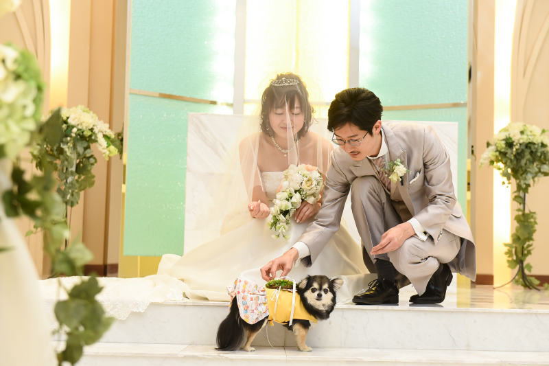 アンシャンテ/アルシェ 龍ケ崎店_ペットと一緒に撮影できる