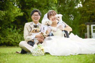 アンシャンテ/アルシェ 龍ケ崎店