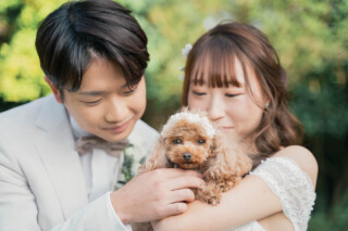 アンシャンテ/アルシェ 龍ケ崎店