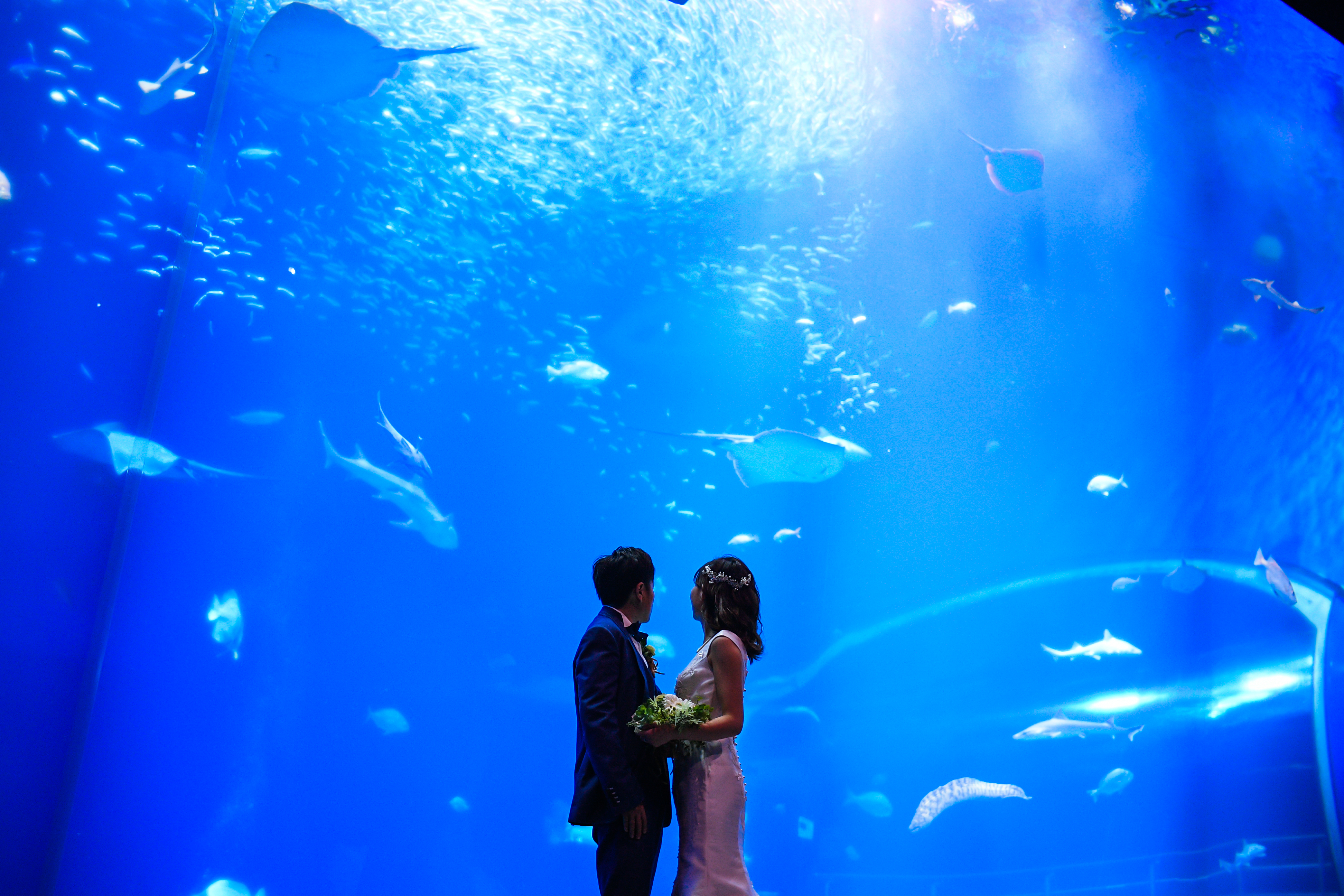 20以上ある撮影シーン