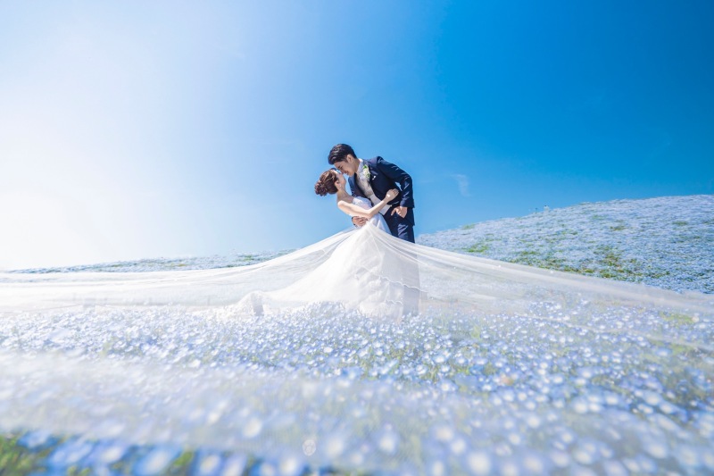 アンシャンテ/アルシェ 龍ケ崎店_動画を作れる