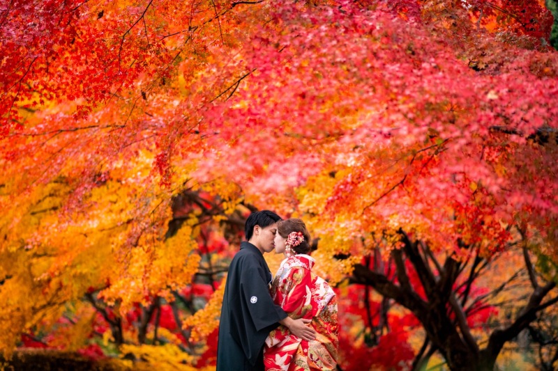 紅葉も魅力的な撮影スタイル!