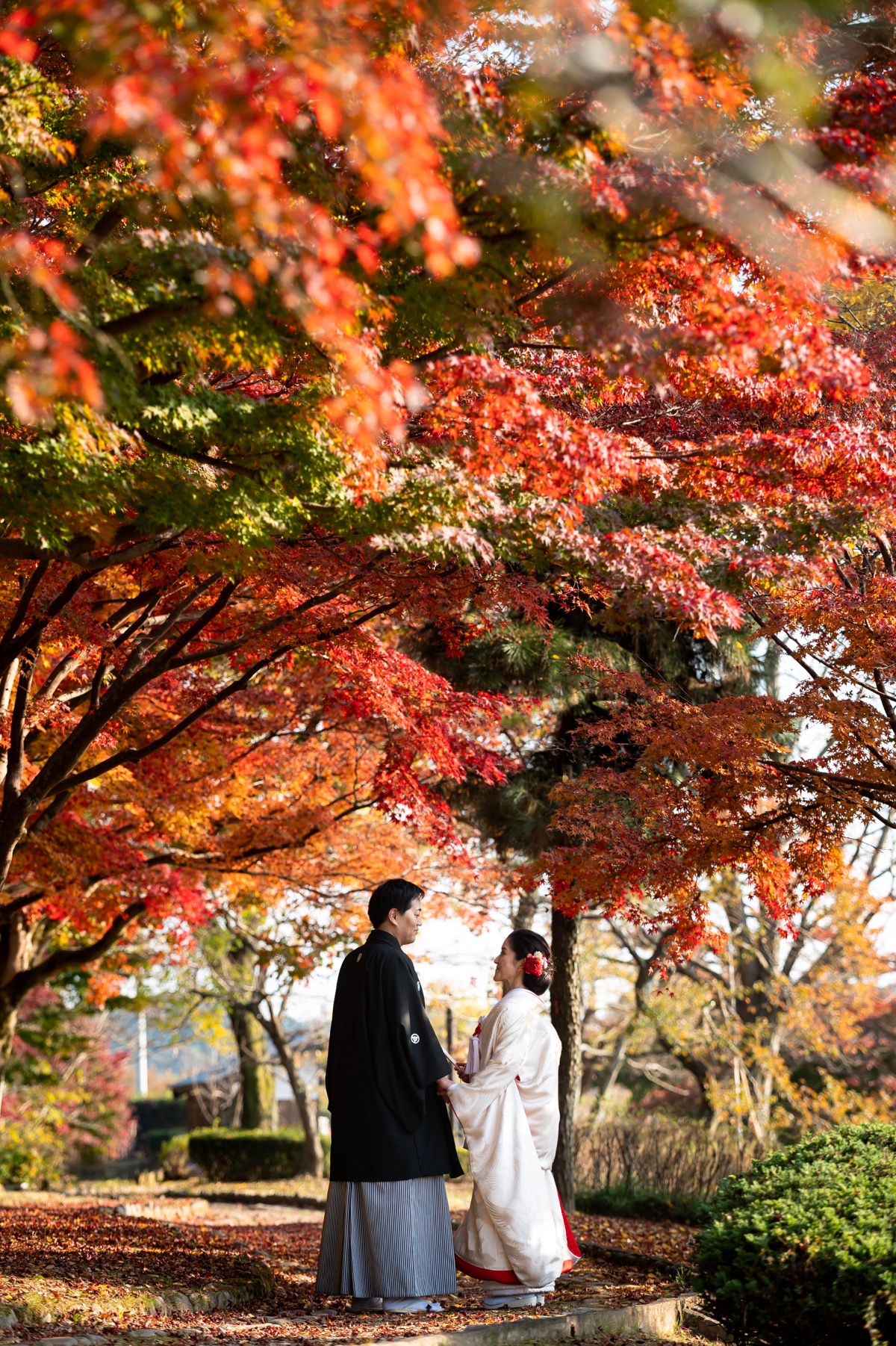 20以上ある撮影シーン