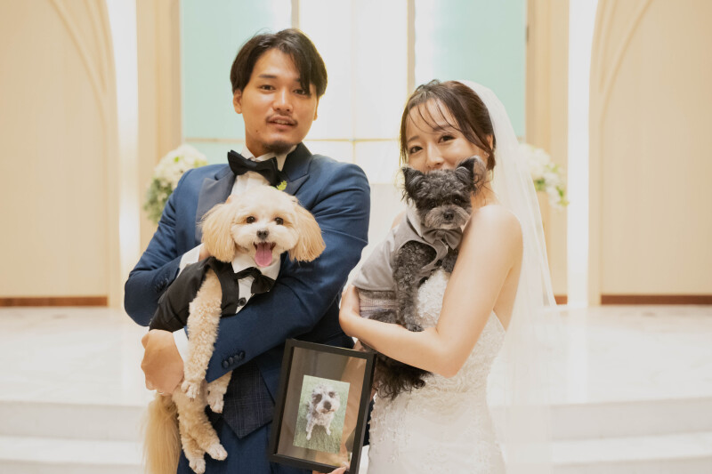 アンシャンテ/アルシェ 龍ケ崎店_洋装フォトウェディング