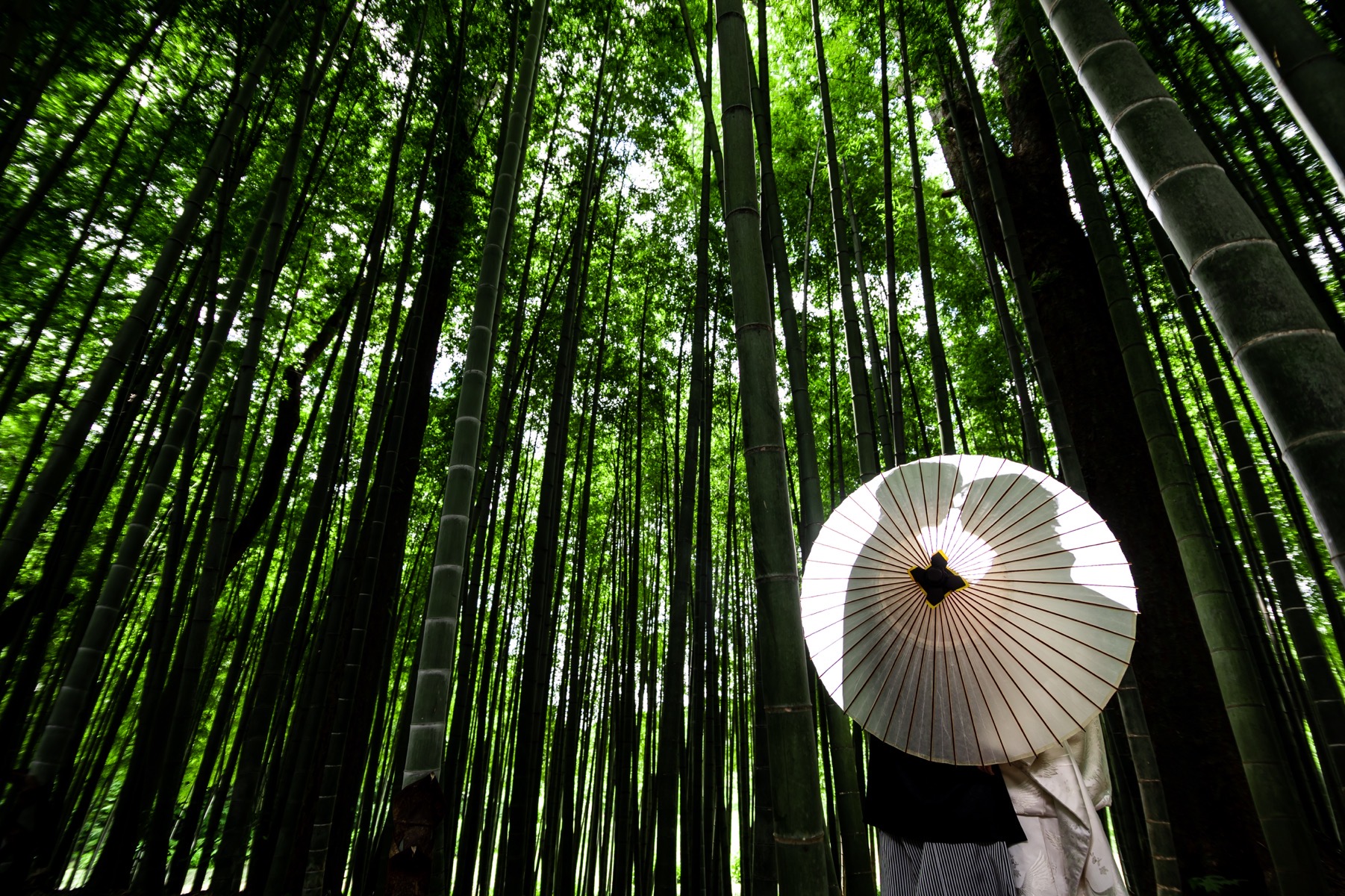 Point1 多彩な撮影シーン