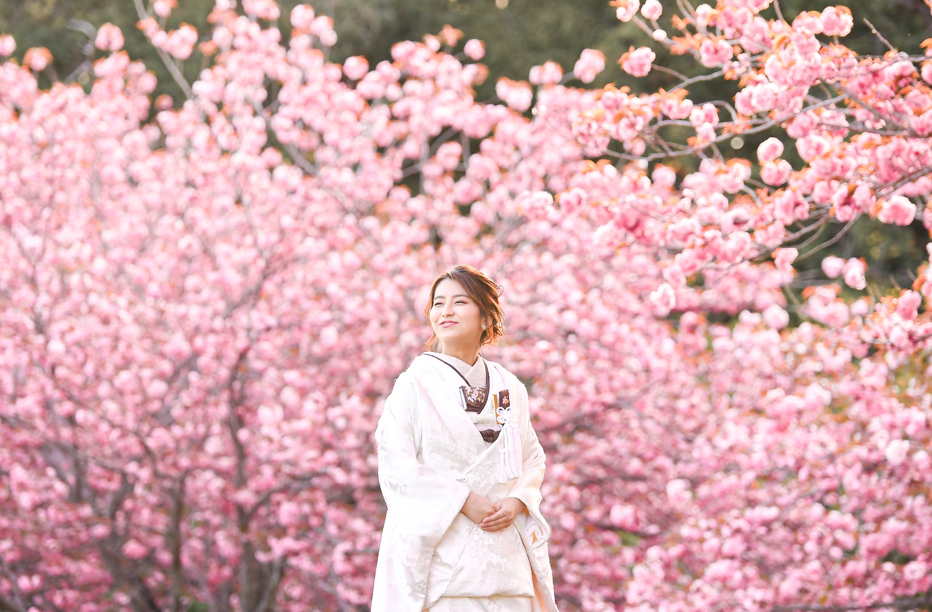 20以上ある撮影シーン