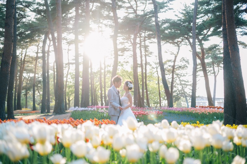 アンシャンテ/アルシェ 龍ケ崎店_動画を作れる