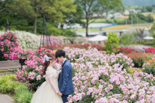 【フォトレイト限定】★いばらきフラワーパーク★ ˚⁎⁺˳花絶景˚⁎⁺˳フォトウェディング