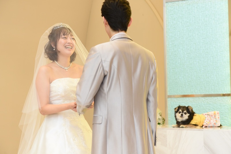 【ペット一緒に撮影プラン】ペットも大事な家族。今しか残せない写真。抱っこもなんでも自由に撮影可能!!