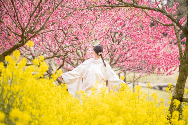 2026年撮影 早割!先行予約 2-3月に叶う桜フォト 「河津桜ロケーションフォトウェディング」