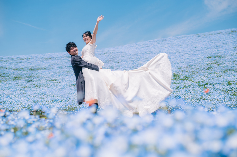 2026年撮影 早割!先行予約開始【ネモフィラロケーション撮影】