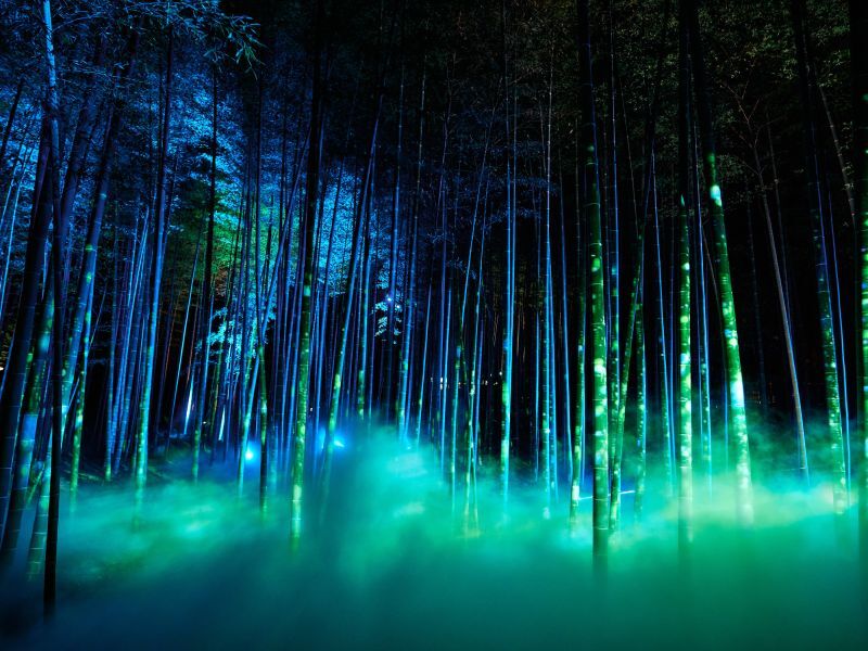 【2月限定の特別先行優待プラン】挙式に間に合う！梅香る春の訪れ、偕楽園ロケーション前撮り☆