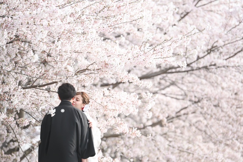 2026年撮影 早割!先行予約 2-3月に叶う桜フォト 「河津桜ロケーションフォトウェディング」