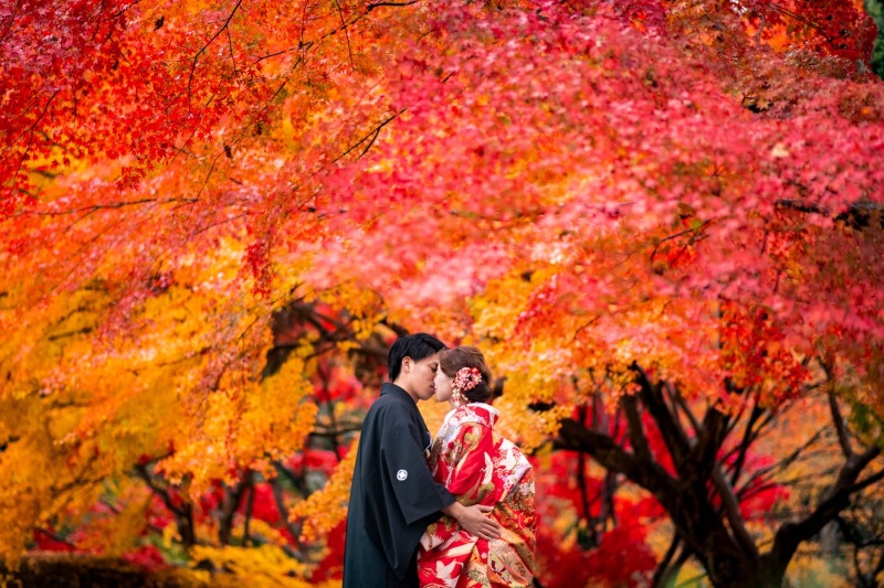 ご案内日残りわずか!【紅葉ロケーション撮影プラン】受付スタート!!