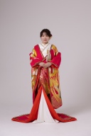 八重重ね 金鶴 針松（IU00921）