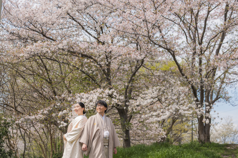 晴れ