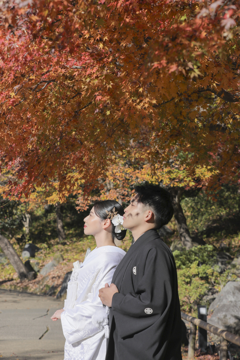 2025年の紅葉納め！