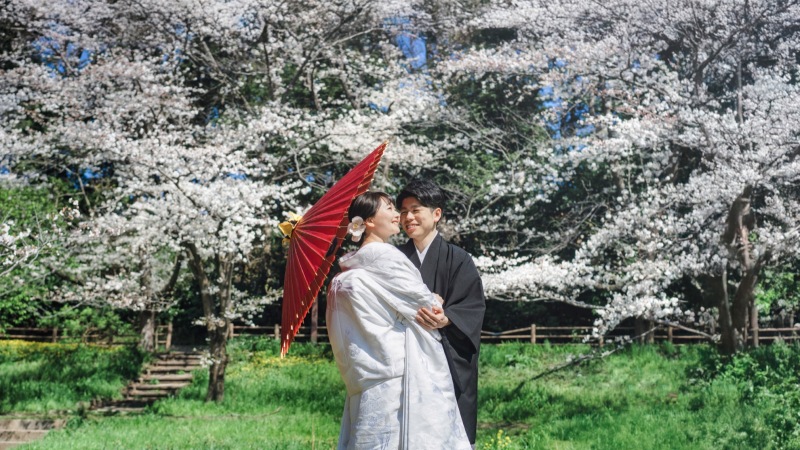 今年も桜の季節がやってきた!