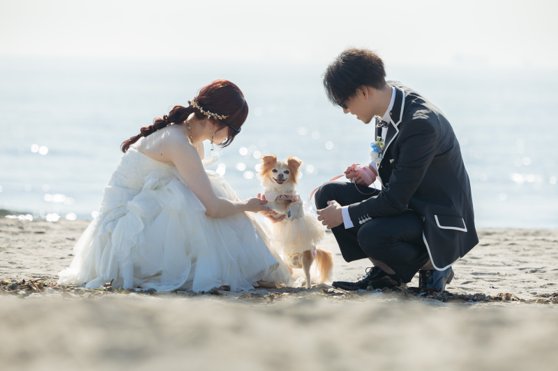 大好きな愛犬と一緒に！