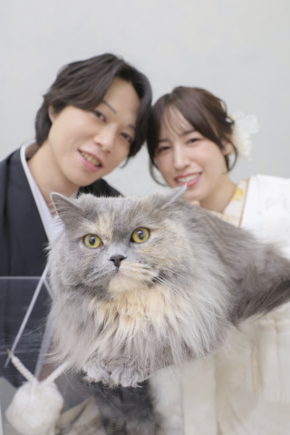 愛猫ちゃんと新しい思い出作り！