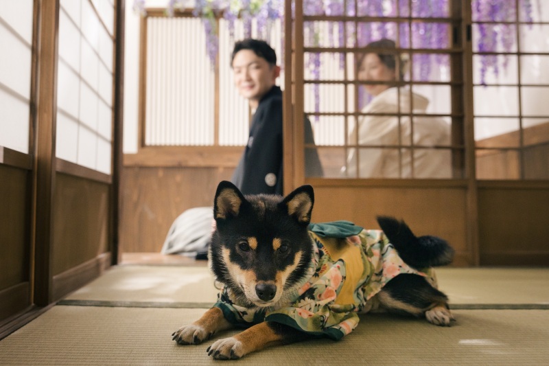 ワンちゃんと一緒に撮影♡