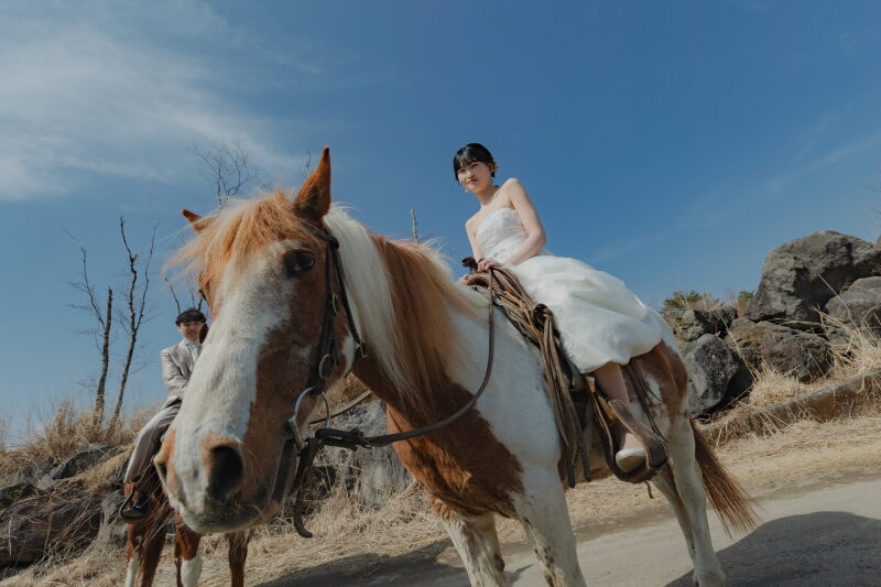 お馬さんフィーチャー