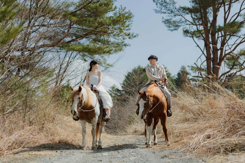 暴れん坊将軍笑