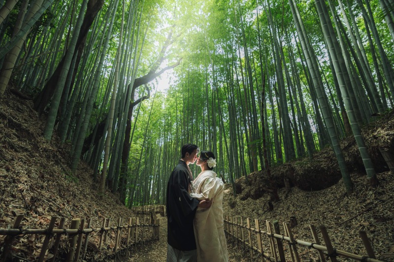 ひよどり坂とスタジオで