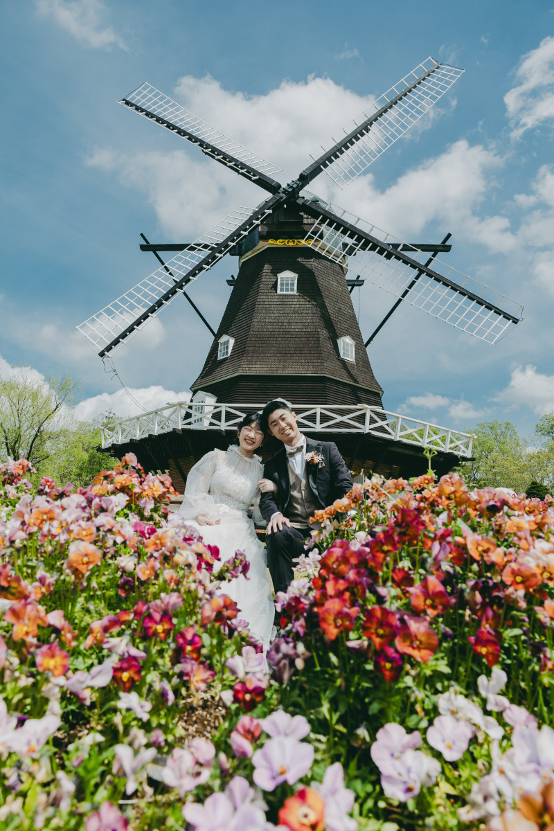 咲き誇るパンジー