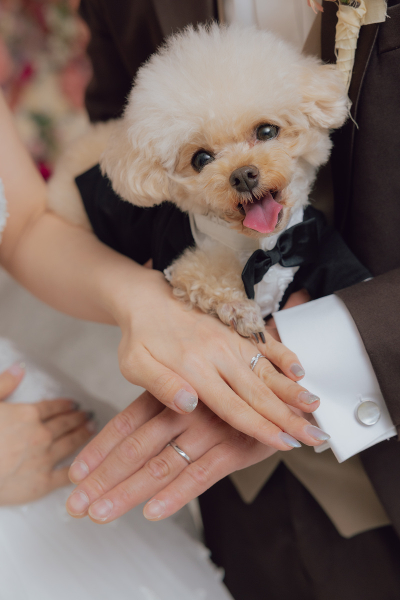 みんなの手を重ねて