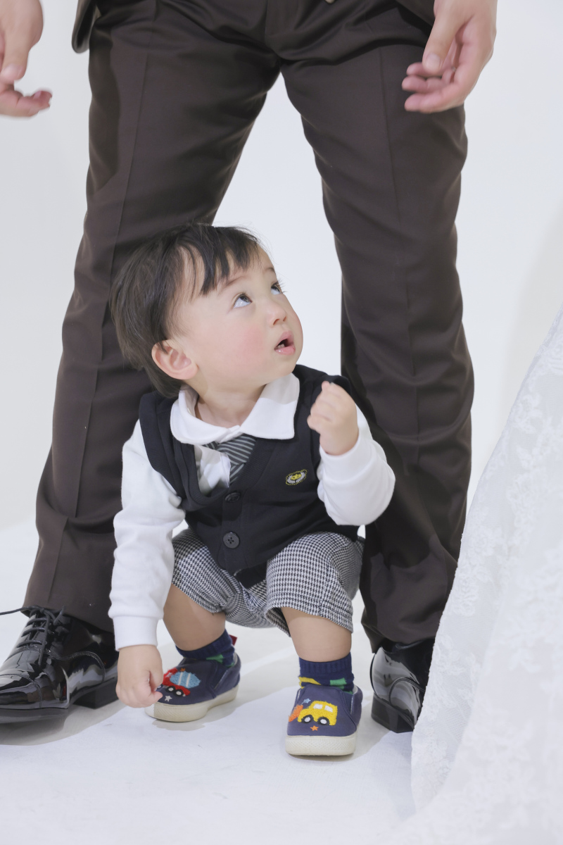 ひよっこりはん。