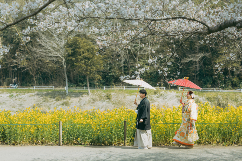 菜の花とソメイヨシノ♫