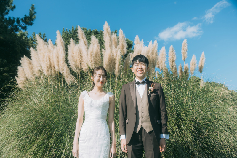 パンパスグラスが見頃