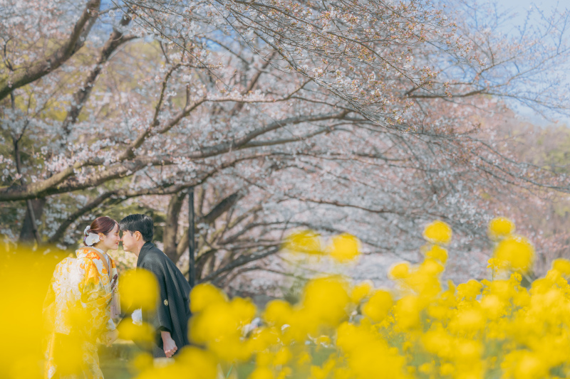 菜の花と桜に挟まれて◎