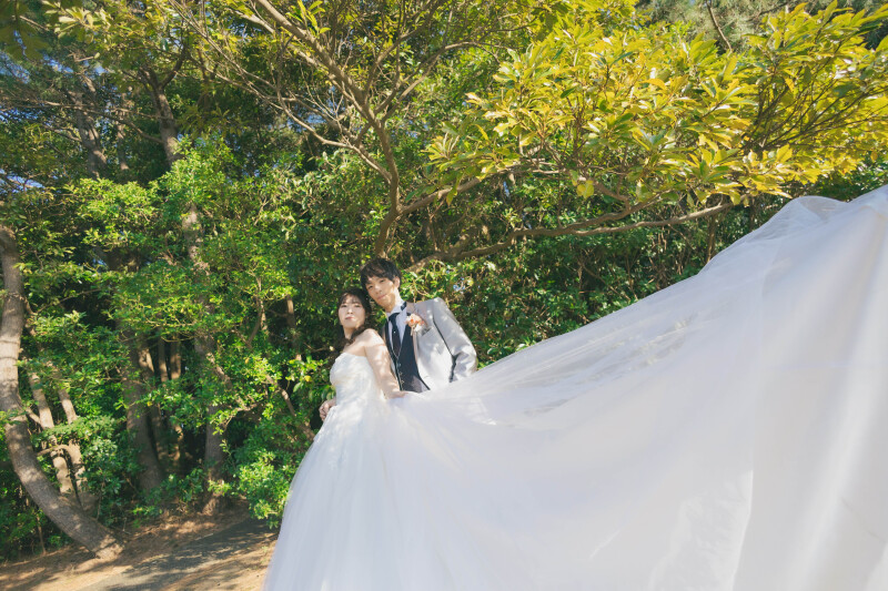 ドレスを使って!