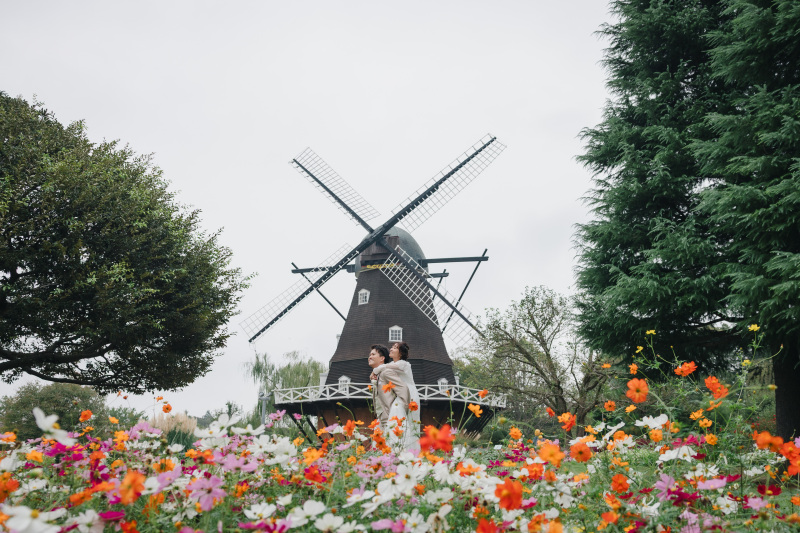 風車とお花畑と