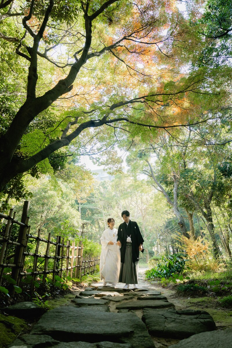 大きな木の下で